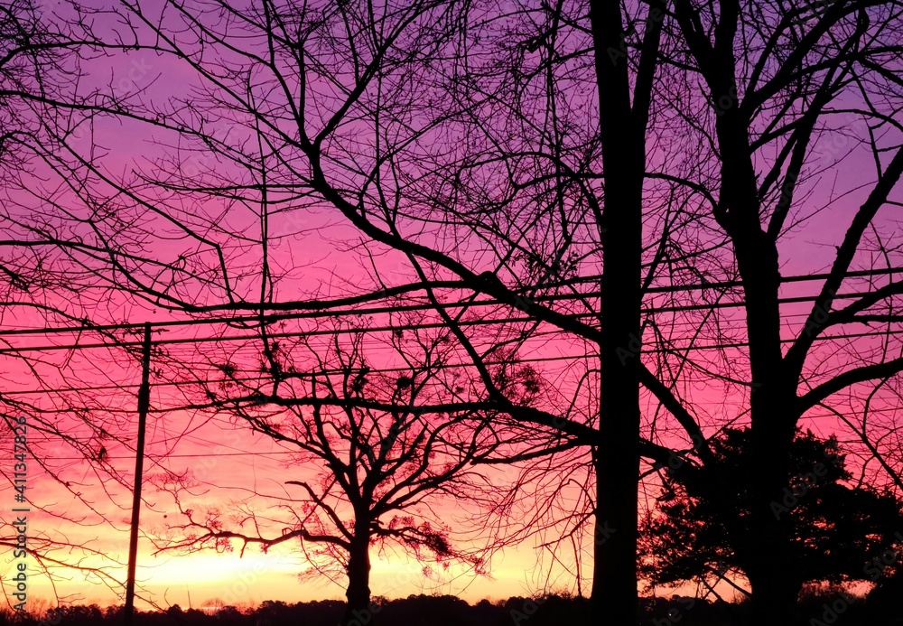 Obraz premium sunset in the park
