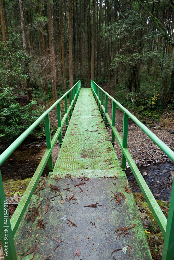 Fototapeta premium 登山道にかかる緑色の小さな人道橋 