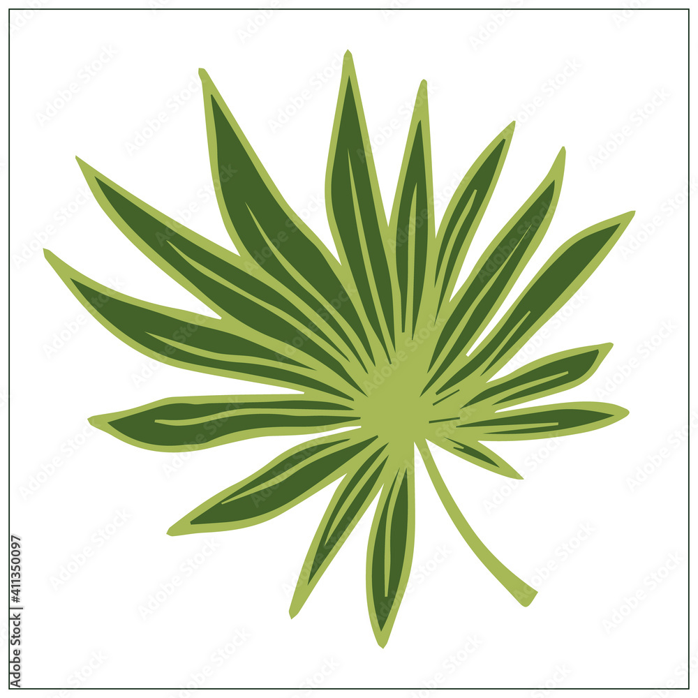 green tropical leaf, summer plant, stylized vector graphics, vibrant color, decorative