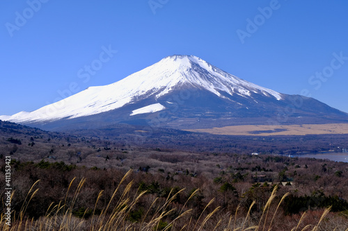 【山梨】山中湖（パノラマ台）から見る富士山（冬）
