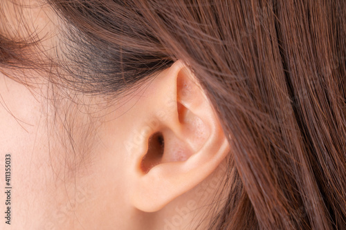 女性　耳
