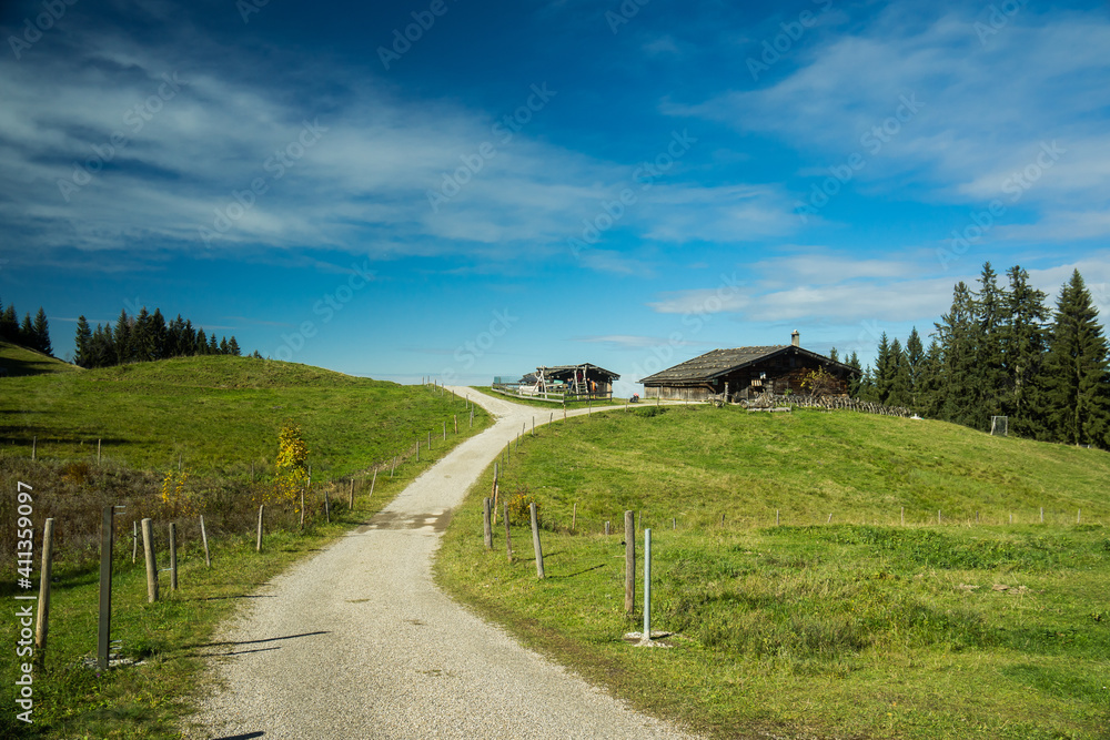 path over meadow on alps