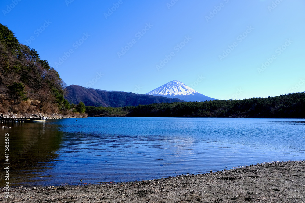 【山梨】西湖から見る富士山（冬）