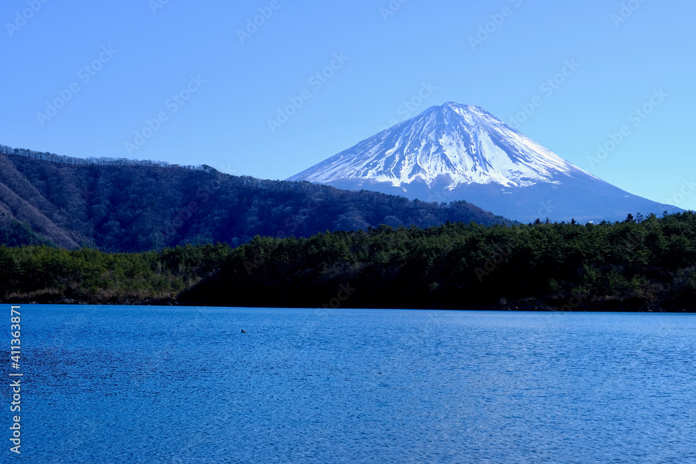 【山梨】西湖から見る富士山（冬）