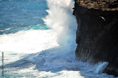 Crashing waves slamming onto the cliffs on the shores of Hawaii