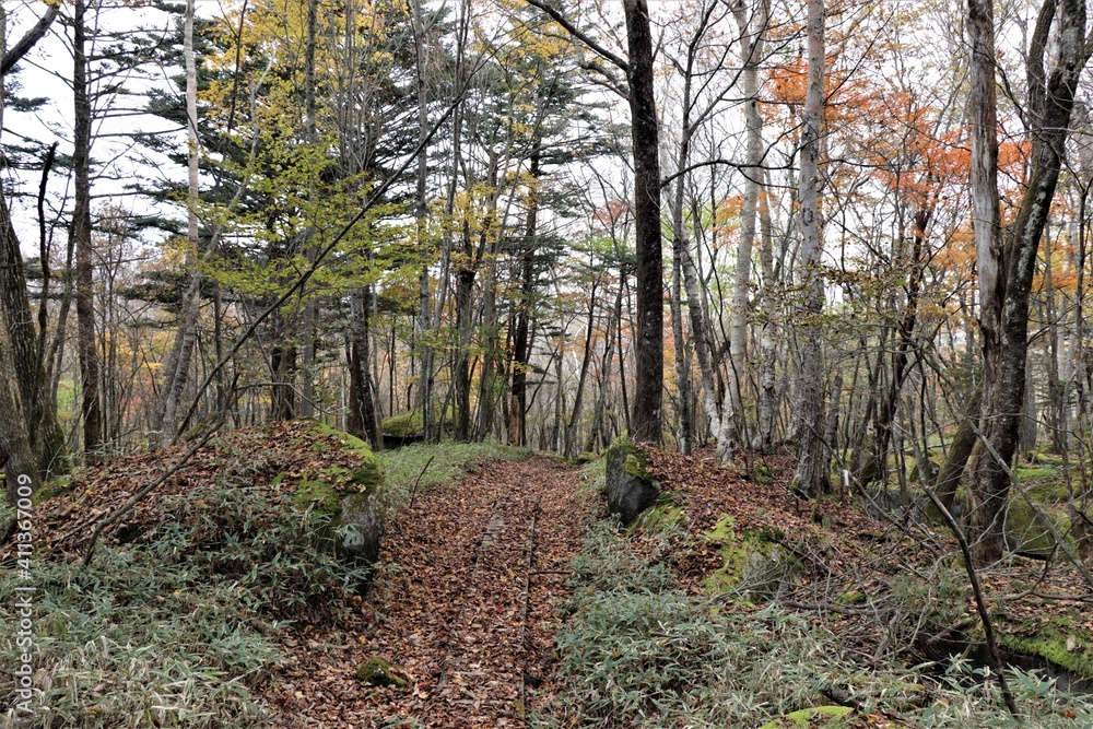 Fototapeta premium 群馬県鹿沼市の横根高原