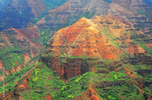 A beautiful capture of the stunning landscape in Waimea canyon, in Hawaii