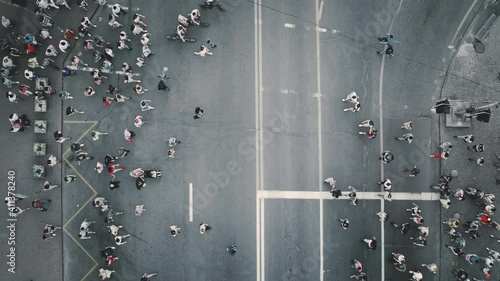 Top down aerial people walk at crossroad. Cars stopped let pedestrians cross street. Business centre cityscape. Men, women at crosswalk. Urban lifestyle. Nature landscape. Kyiv city, Ukraine, Europe