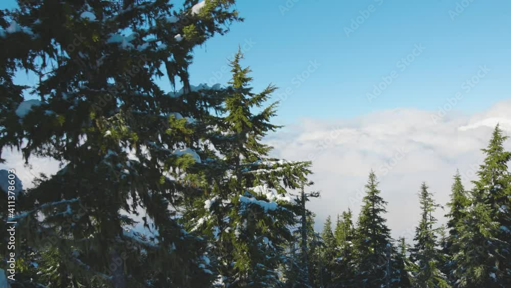 Snowy Forest on top of the mountains in winter during sunny morning. Beautiful White Canadian Nature. Taken in Whistler, British Columbia, Canada. Aerial View Slow Motion Snowy Forest on top of the mountains in winter during sunny morning. Beautiful White Canadian Nature. Taken in Whistler, British Columbia, Canada. Aerial View Slow Motion