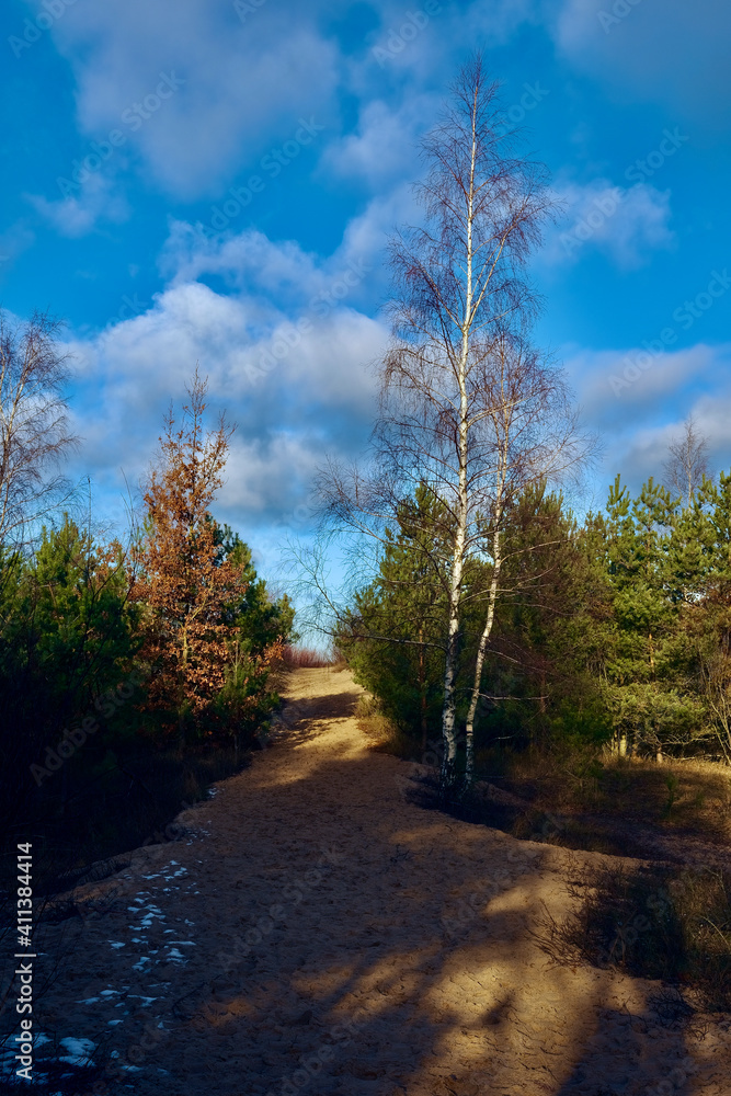 Fototapeta premium Plaża5