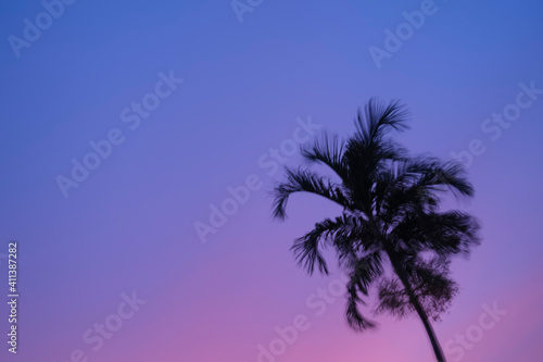 Blured palm tree silhouette at sunset