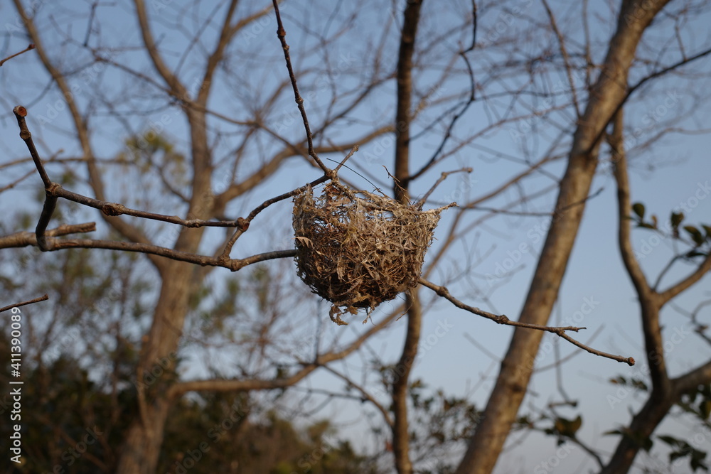 Fototapeta premium 日本の岡山県備前市の笹尾山の風景