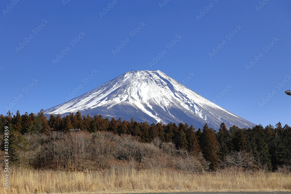 Fototapeta premium 朝霧の富士山