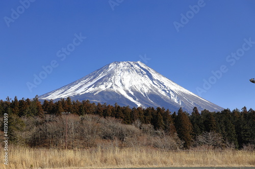 朝霧の富士山