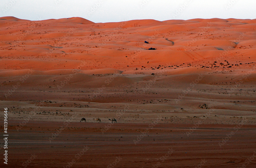 Sand Dunes In Desert Against Sky