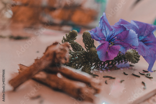 flowers with tree branches