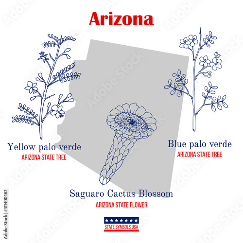 Arizona. Set of USA official state symbols photo