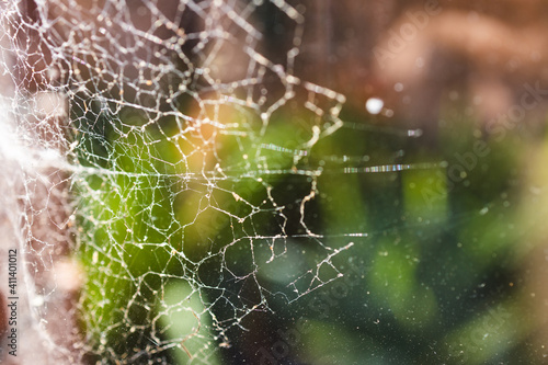 close-up of big spider web on window with light shining through it and backyard bokeh