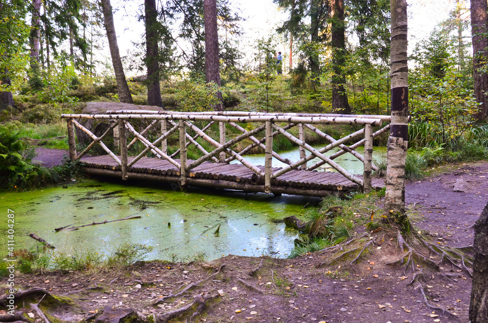 Wooden bridge over a small stream in the forest