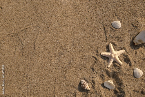 Starfish, shells and conchs on beach. Top view of sand texture with copy space