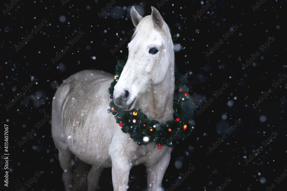 Light grey (white) horse in the christmas wreath with bauble decorations against black backgroun in snowfall.