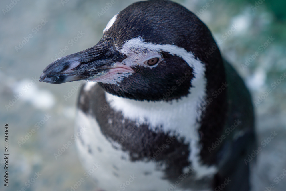 Naklejka premium Norwegen Alesund im November