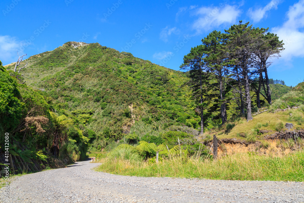 A winding gravel road through hilly New Zealand countryside