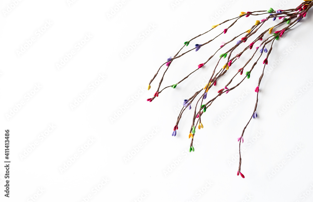 Colored willow branch on a white background with space for text.