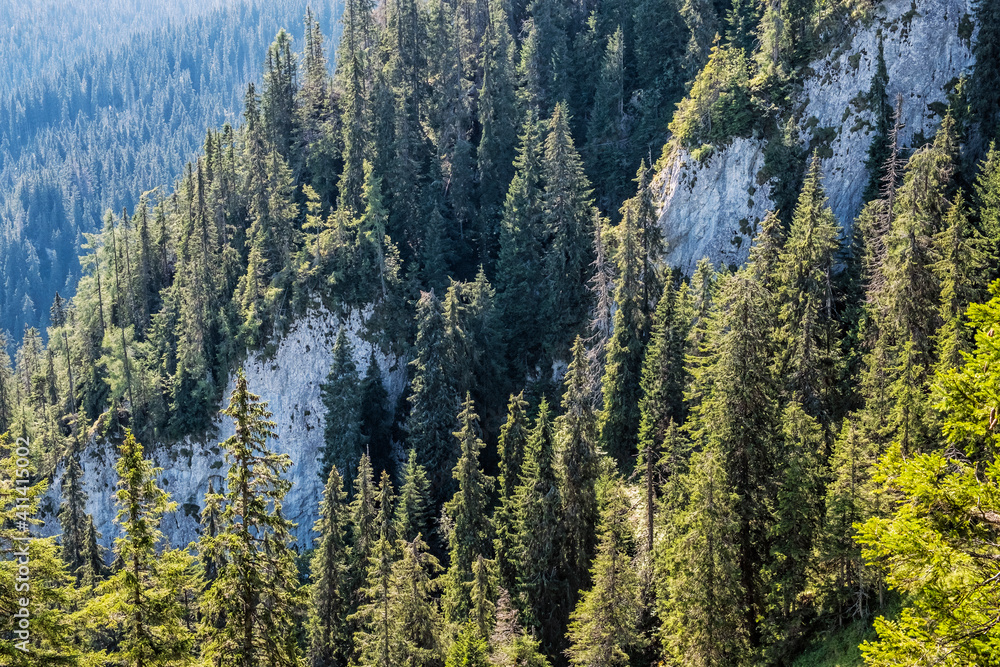 Big rocks and coniferous forest, Low Tatras mountains, Slovakia Big rocks and coniferous forest, Low Tatras mountains, Slovakia