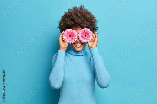 Tevreden jonge Afro-Amerikaanse vrouw met krullend haar bedekt ogen met roze gerbera's glimlacht zachtjes wil boeket van favoriete bloemen maken gekleed in coltrui geïsoleerd op blauwe achtergrond.