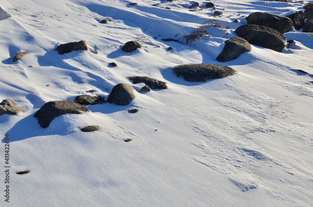 Obraz premium Stones on the ground and grass covered with snow in a blizzard during the onset of the winter season