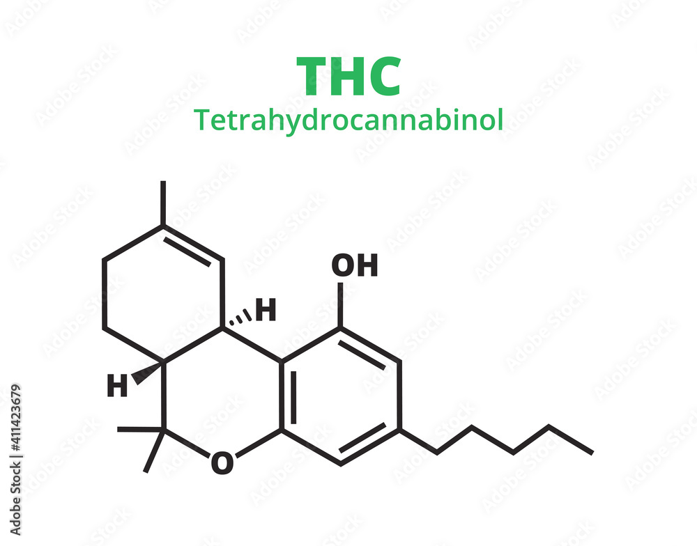 Vector chemical structural formula of tetrahydrocannabinol – THC molecule isolated on a white background. Chemical icon of cannabis Sativa, marijuana. Psychoactive drug used for recreational purposes. Vector chemical structural formula of tetrahydrocannabinol – THC molecule isolated on a white background. Chemical icon of cannabis Sativa, marijuana. Psychoactive drug used for recreational purposes.