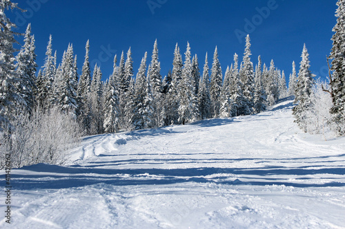 Ski slope in snowy winter forest in sunny weather
