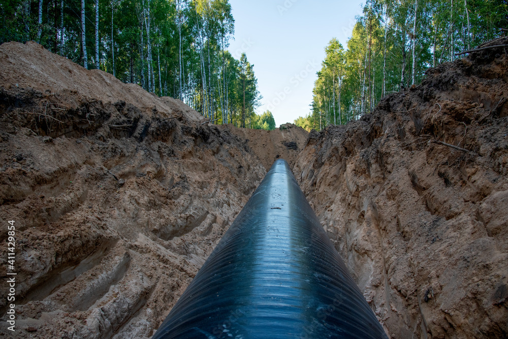Foto de Natural gas pipeline construction work in forest area ...