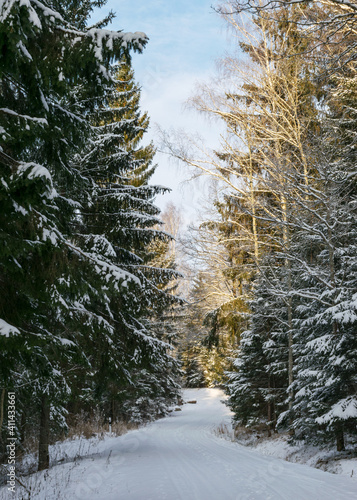 Snowy country road, winter landscape, winter road and snow-covered trees, winter in Latvia