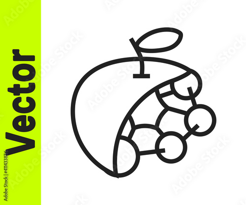 Black line Biological structure icon isolated on white background. Genetically modified organism and food. Vector.
