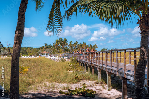 beach with palms