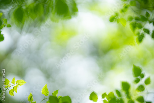 Nature of green leaf in garden at summer. Natural green leaves plants using as spring background cover page greenery environment ecology wallpaper