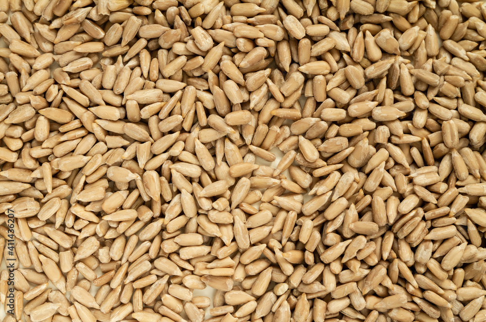 Peeled (dehulled) sunflower seeds texture. Peeled (dehulled) sunflower seeds texture.