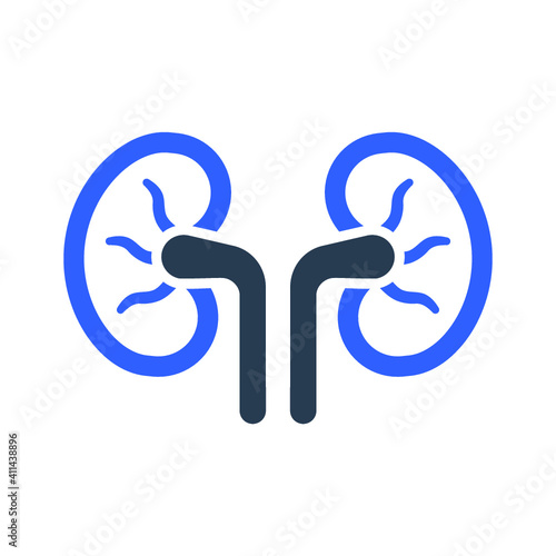 Human kidney icon