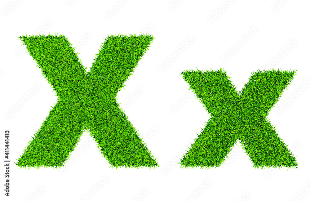 Grass letter X Grass letter X