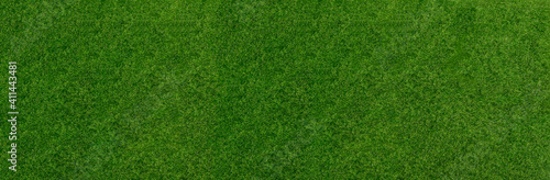 green grass background, horizontal photo pattern grass