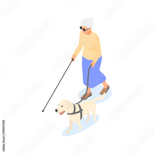 Blind elderly woman with cane and guide dog isolated on white background.