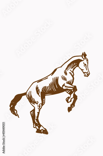 Graphical vintage horse ,sepia background,illustration © Vita