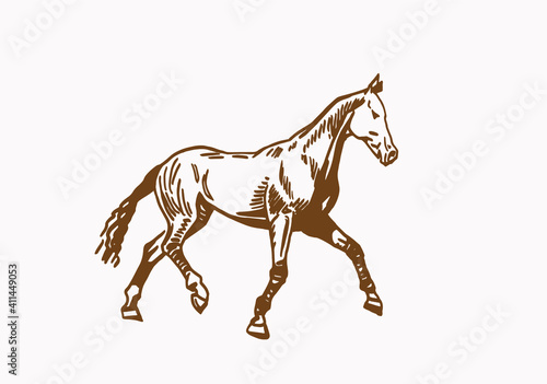 Graphical vintage horse  sepia background illustration