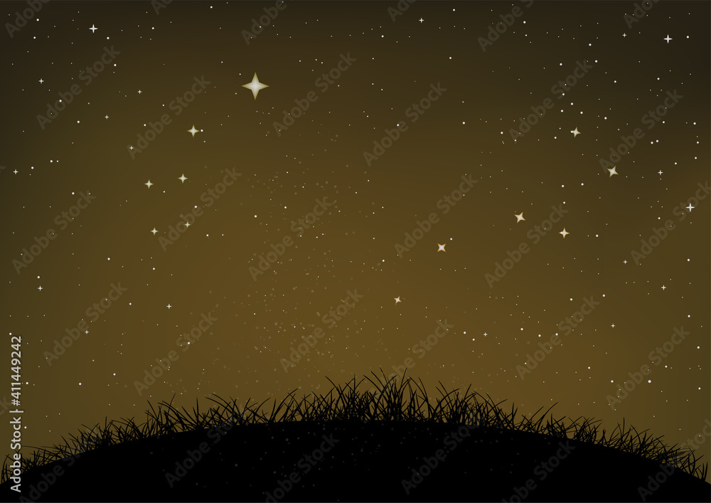 grass and ground starry night sky - obrazy, fototapety, plakaty 
