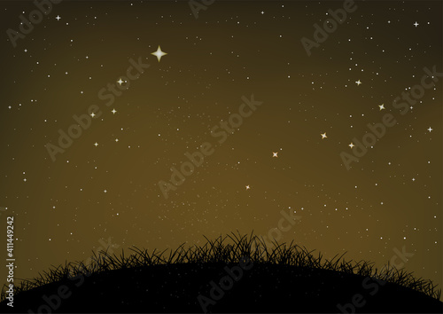 grass and ground starry night sky