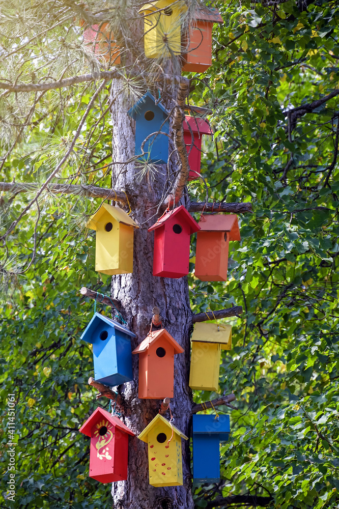 Multi-colored wooden handmade bird houses on old tall pine tree. In background green foliage. Close-up. Selective focus.