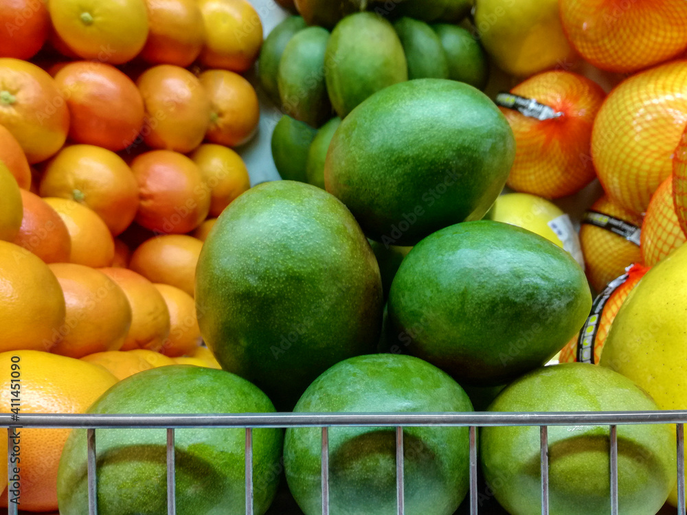 Mango fruits are lined with pyramid on store shelf. In background are pomelo and grapefruits. Composite way to attract buyers. Full frame filling. Close-up. Selective focus.