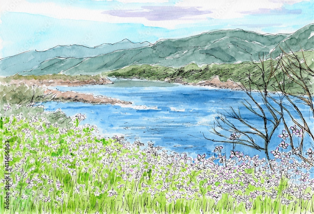 ハマダイコンの咲く春の川辺